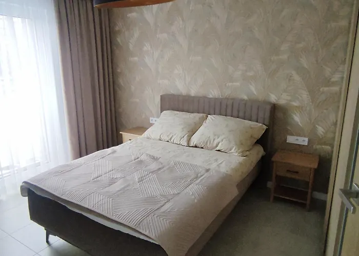 Czarno Bialy راتشيبوش